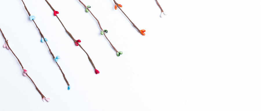 中国系统科学的过往与序章