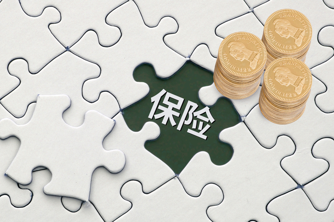 一类新随机微分投资与再保险策略