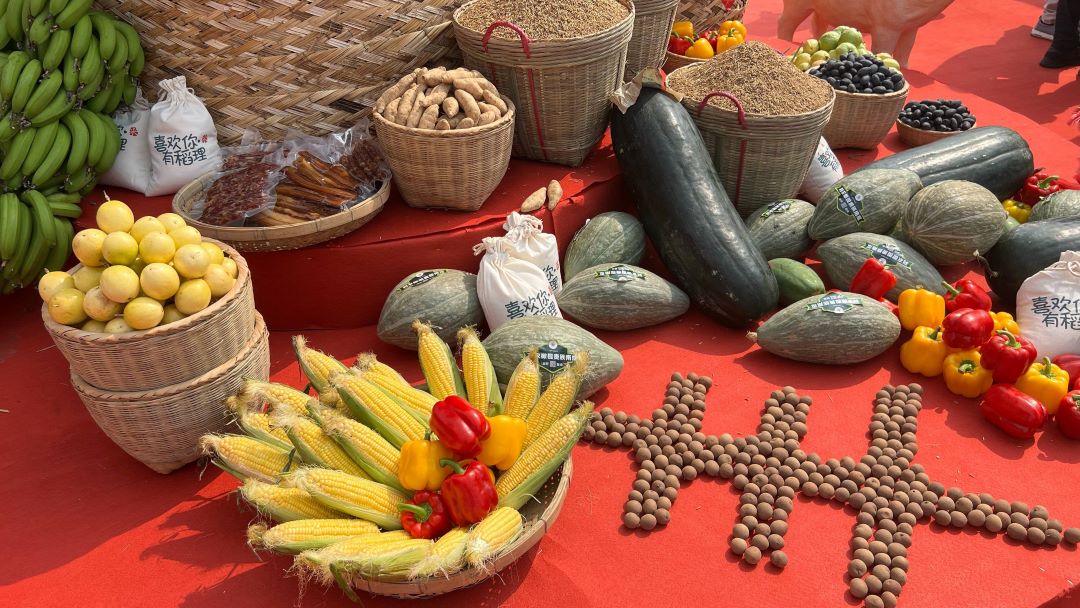 重要农产品价格异常波动扩散的调控策略优化——基于耦合网络级联失效的收储行为