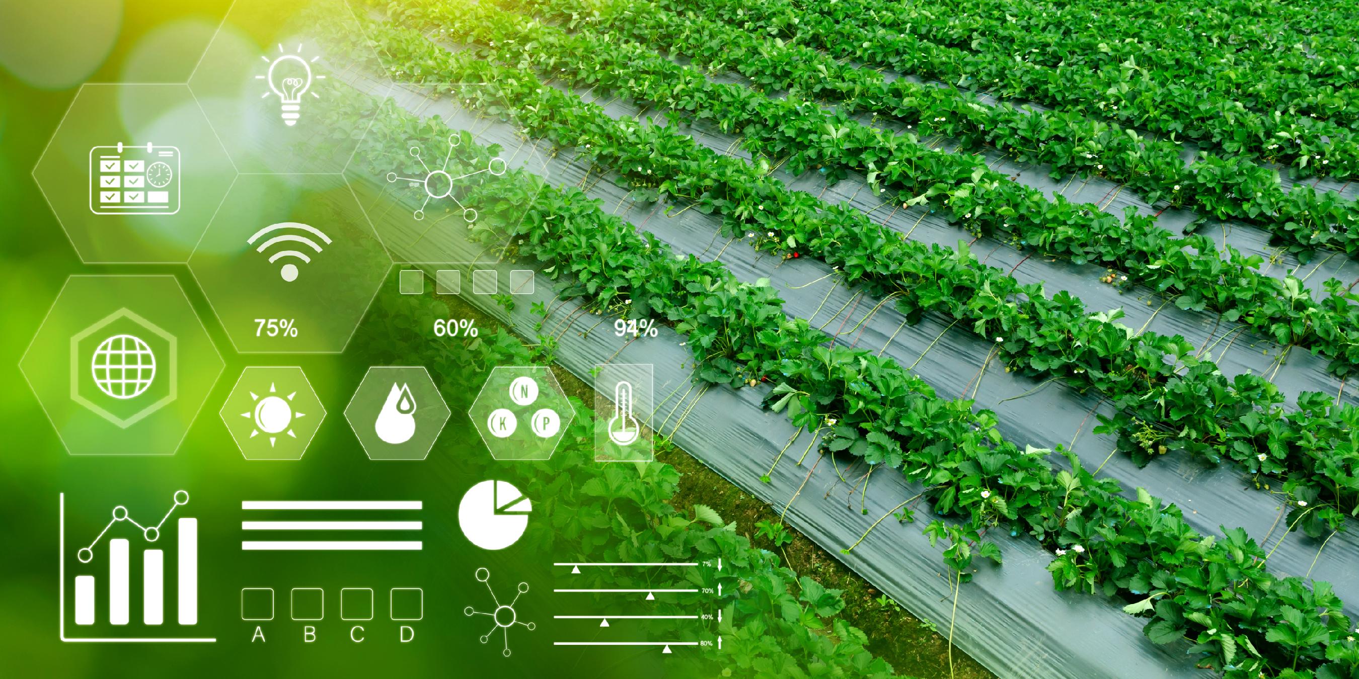 农户绿色技术采纳、生产规模不经济与合同设计