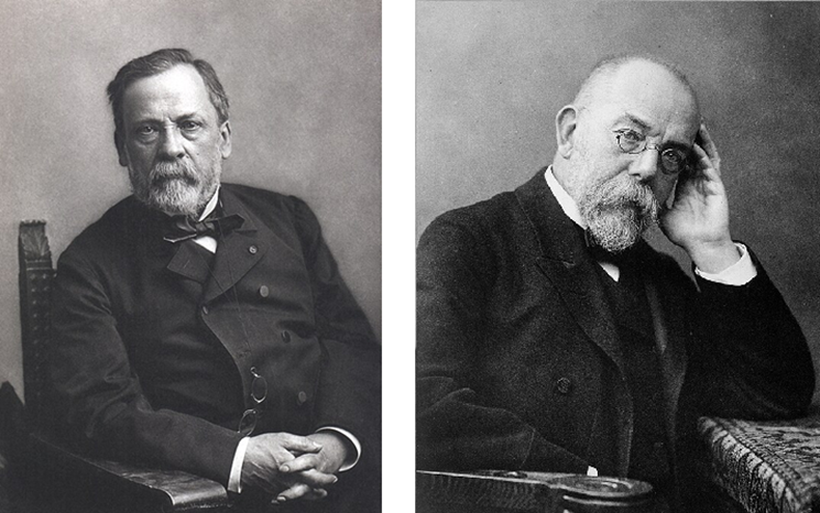 两位科学巨人的终身对峙：怎样改写了人类的平均寿命？