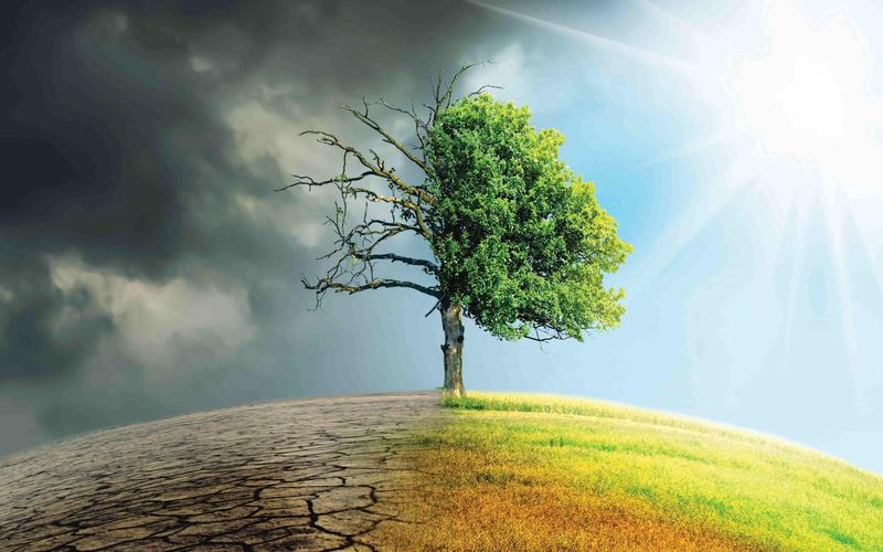 气候政策不确定性是否会影响企业投资决策: 基于管理层感知视角