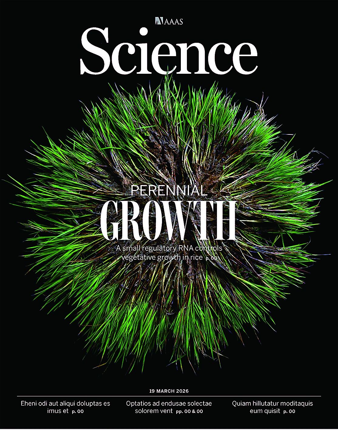 打破万年宿命！中国科学家这项研究登上《科学》封面