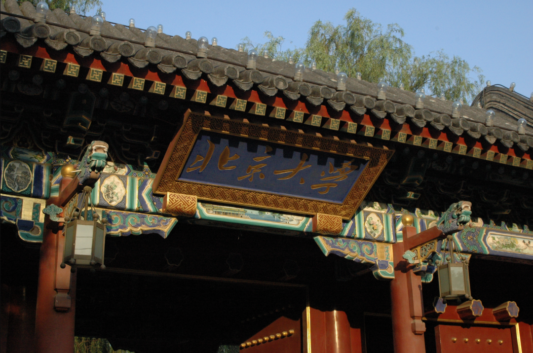 北大陈耀松：大学培养的，是“学历”还是“学力”？