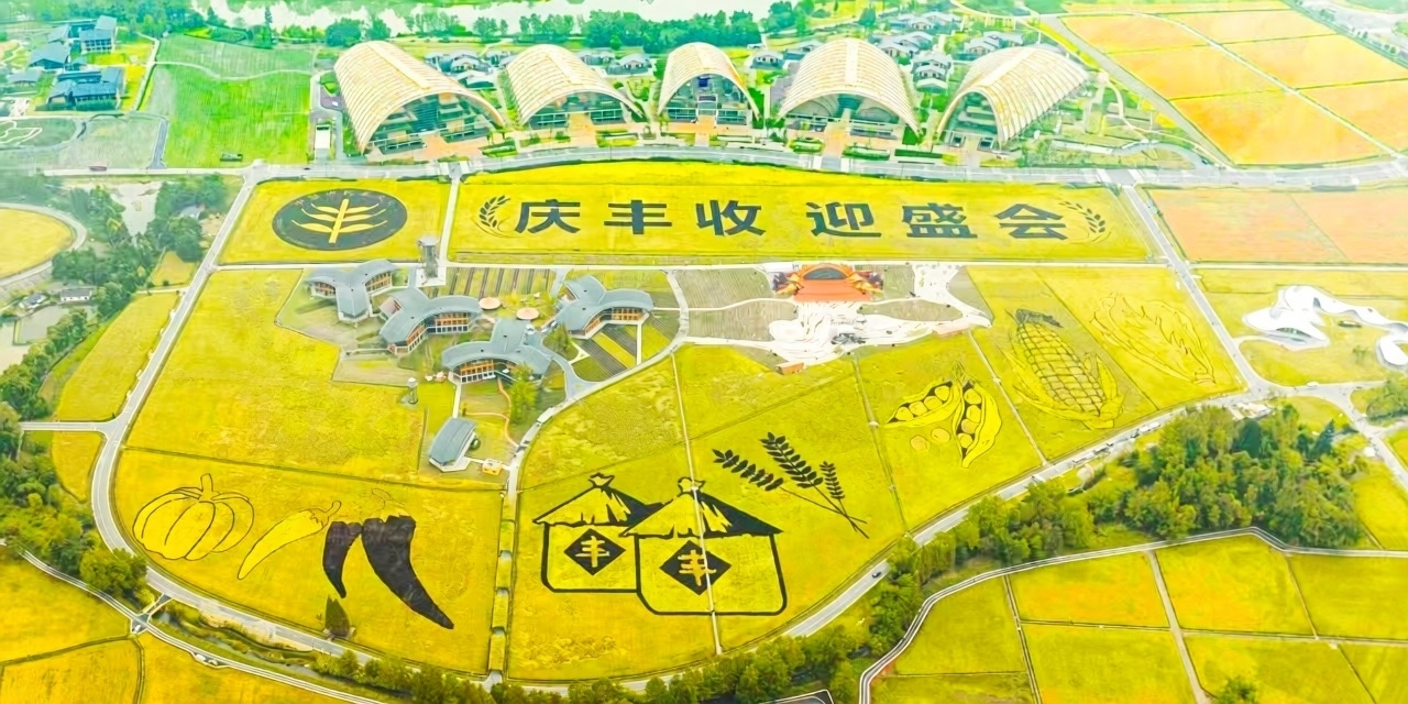 信用体系建设的农民增收效应: 基于金融助力乡村振兴的视角